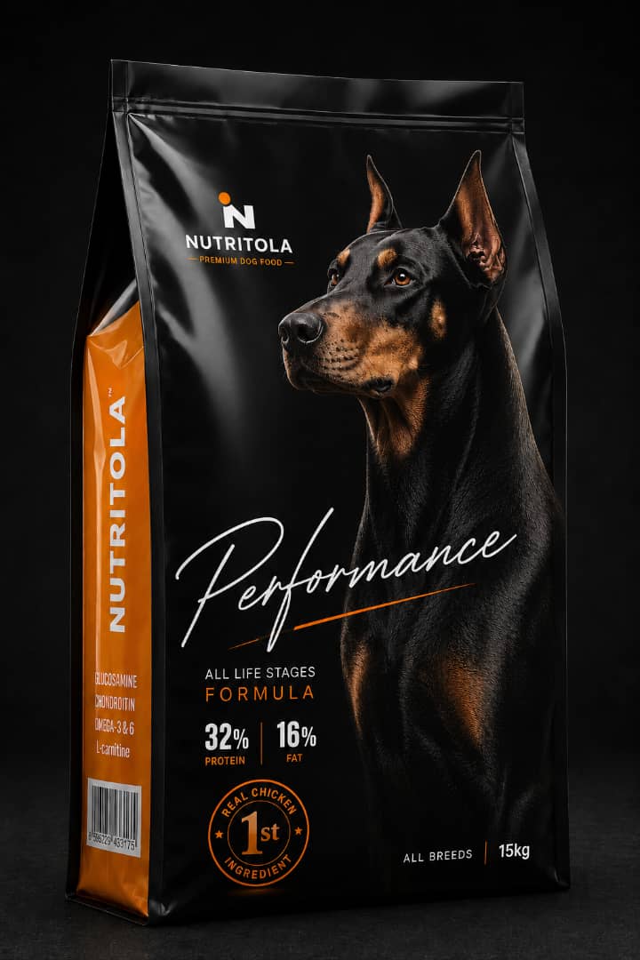 Performance