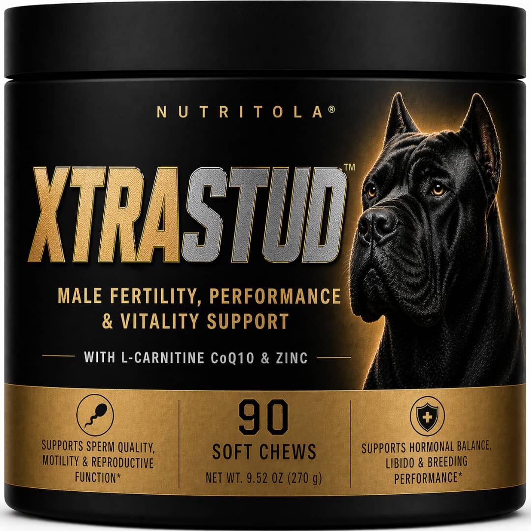 XtraStud